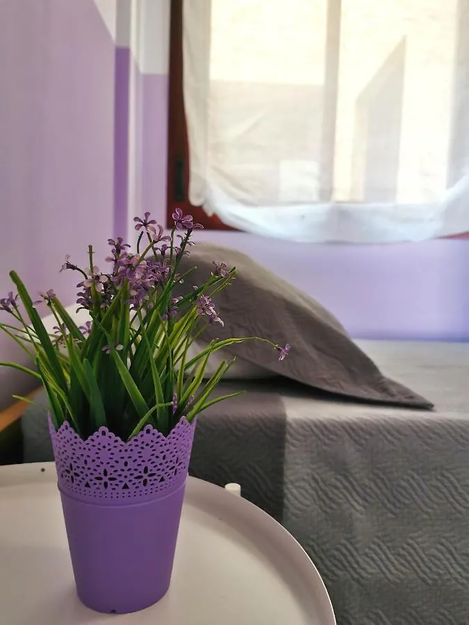 Anais Dreams&Relax Apartment Corralejo Spain